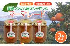 みかん マーマレード 150g×3 ｜  柑橘  みかん加工品 ギフト 無添加 マーマレード ジャム フルーツ 伊予柑 ブラッドオレンジ 夏みかん レモン 果物 くだもの 愛媛みかん  スイーツ 産地直送 ご当地 愛媛県 松山市