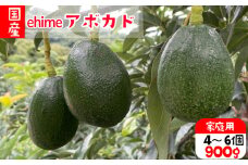 【 先行受付 】【2024年10月中旬から発送】アボカド 国産 家庭用 除草剤 不使用 約 900g 4 から 6 個 | 愛媛 松山 サラダ 栄養 ディップ 栄養 健康 料理 デザート パスタ パン サラダ ジュース