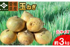 【玉ねぎ 約 3kg】 大玉 2Lサイズ｜ 野菜 玉ねぎ たまねぎ タマネギ 産地直送  期間限定 愛媛 松山