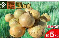 【玉ねぎ 約 5kg】 大玉 2Lサイズ｜野菜 玉ねぎ たまねぎ タマネギ 産地直送  期間限定 愛媛 松山