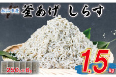 家庭用 釜揚げ しらす 約1.5kg | 家庭用 訳あり 不揃い 国産 しらす干し おつまみ 酒の肴 冷凍 小分け 個包装 便利 おかず 惣菜 弁当 簡単調理 ごはんのお供 加工品 海の幸 しらす丼 グルメ 食品 魚介 小魚 魚 鮮魚 海鮮 シラス お取り寄せ 送料無料 愛媛県 松山市