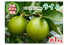 【ふるさと納税】 【2025年10月から発送】ライム 1kg 中島みかん農園｜柑橘 果汁酸味 果物 くだもの 果実 国産 フルーツ 有名 愛媛 松山 瀬戸内 ビタミン 美味しい 生産者 直送 産直 無添加 ライムサワー ジュース チューハイ