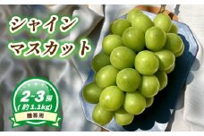 【7月下旬頃から発送】 シャインマスカット 約1.1kg ( 2~3房 ) 数量選択可 < 贈答用 > | ぶどう シャインマスカット 贈答 皮ごと 種なし 数量限定 愛媛県産 松山市