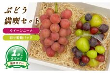 【8月下旬頃から発送】 クイーンニーナ + 彩り葡萄パック 約550g ( 大1房 ) 彩り葡萄パック 約270g ( 2パック ) | ぶどう クイーンニーナ 種なし 大粒 数量限定 愛媛県産 松山市 