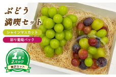 【8月下旬頃から発送】 シャインマスカット 約550g ( 大1房 ) + 彩り葡萄パック 約270g ( 2パック )  | ぶどう シャインマスカット 皮ごと 種なし 大粒 数量限定 愛媛県産 松山市 