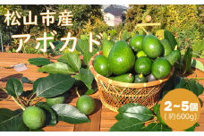 【2024年11月下旬から発送】オーガニック アボカド 約600g 家庭用 品種 おまかせ 愛媛 松山 健康 料理 デザート パスタ パン サラダ ジュース 