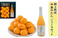 【11月中旬頃より発送】中島みかん・中島みかんジュースセット  | （先行予約 みかん 蜜柑  ジュース 国産 柑橘 甘い 中島 愛媛 松山 ） 