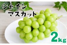 【先行予約】シャインマスカット 2kg ぶどう シャインマスカット しゃいんますかっと マスカット ますかっと 産地直送 果物 フルーツ 甘い 完熟 季節限定 先行予約 しゃいんますかっと 大粒 シャインマスカット 愛媛県 松山市 えひめけんさんしゃいんますかっと ブドウ 松山市産シャインマスカット 贈答 期間限定 かをる屋のシャインマスカット プレゼント ギフト シャインマスカット ぶどう