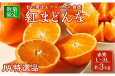 【先行受付】JA特選品 紅まどんな（赤秀L～3L 約3kg）  みかん ミカン 蜜柑 果物 くだもの フルーツ 高級 贈答 ギフト 贈り物 柑橘 柑橘類 かんきつ 愛媛果試第28号 愛果28号 常温 国産 愛媛 愛媛県 松山市