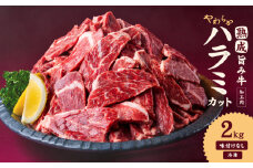熟成旨み牛やわらかハラミカット 2kg ハラミ 冷凍 はらみ 牛 ハラミ 味付けなし ハラミ 牛肉 ハラミ 200g ハラミ 10パック ハラミ 小分け ハラミ 炒め物 ハラミ 料理 ハラミ キャベツ ハラミ もやし インジェクション加工 愛媛県 松山市