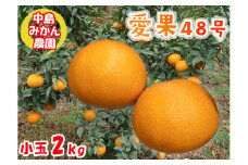 【2025年3月から発送予定】 愛果48号 小玉 2kg 愛媛県 中島産 |あいか 家庭用 先行予約 高級 蜜柑 ミカン みかん ジューシー 甘い  柑橘  人気 お取り寄せ  期間 数量 限定 愛媛 松山