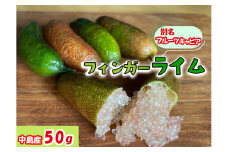【2025年10月から発送予定】フィンガーライム 50g 愛媛県 中島産| ライム 酸味 さっぱり 添え物 料理 チューハイ アルコール 炭酸 飲み物 飲料 産地直送 国産 愛媛 松山