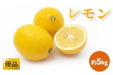 【2025年3月中旬頃から発送】 レモン 優品・家庭用 約５kg ｜ レモン 檸檬 れもん 中島のレモン 中島の檸檬 酸味 数量限定 期間限定 レモン 愛媛県産 減農薬 有機肥料使用  甘み 香り レモン 柑橘 松山市 レモン 中島 レモン 有機栽培 レモン 新鮮 レモン 