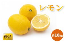 【2025年3月中旬頃から発送】 レモン 優品・家庭用 約10kg ｜ レモン 檸檬 れもん  中島のレモン 中島の檸檬 酸味 数量限定 期間限定 レモン 愛媛県産 減農薬 有機肥料使用  甘み 香り レモン 柑橘 松山市 レモン 中島 レモン 有機栽培 レモン 新鮮 