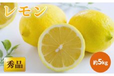 【2026年3月中旬頃から発送】 瀬戸内海の島レモン 秀品 約5kg ｜ レモン 檸檬 れもん  中島のレモン 中島の檸檬 酸味 数量限定 期間限定 レモン 愛媛県産 減農薬 有機肥料使用  甘み 香り レモン 柑橘 松山市 レモン 中島 レモン 有機栽培 レモン 新鮮 