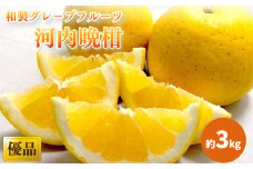 【2025年4月中旬頃から発送】 河内晩柑 優品 家庭用 約３kg｜ 和製グレープフルーツ 木成り熟成 爽やか みかん ミカン 蜜柑 甘い  酸味 数量限定 期間限定  愛媛県産   甘み 香り  柑橘 松山市  新鮮  