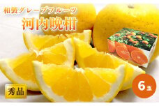 【2025年4月中旬頃から発送】 河内晩柑 秀品 ６玉 ギフトBOX入り｜ 和製グレープフルーツ ジューシーオレンジ 夏文旦 木成り熟成 爽やか みかん ミカン 蜜柑 甘い   酸味 数量限定 期間限定  愛媛県産 甘み 香り  柑橘 松山市 贈答 新鮮  