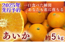 【2025年 先行予約 】【訳あり】農家直送 名前だけが訳あり あいか 5kg  | 紅まどんな と同種 みかん 愛媛 松山 フルーツ 果物 くだもの 5キロ 数量限定 期間限定 送料無料 柑橘 みかん フルーツ 果物 みかん ランキング 