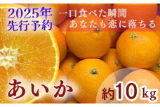 【 2025年 先行予約 】【訳あり】農家直送 名前だけが訳あり あいか 10kg 家庭用 | 紅まどんな と同種 みかん 愛媛 松山 フルーツ 果物 くだもの 10キロ 数量限定 期間限定 送料無料 柑橘 みかん フルーツ 果物 みかん ランキング 2024年度