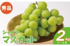 【2025年発送分先行予約】  秀品 シャインマスカット 約2kg ( 4 ~ 6房 ) ぶどう ブドウ 葡萄 マスカット ますかっと 果物 くだもの フルーツ 果物 高級 冷蔵 数量限定 おすすめ 愛媛県産 松山市 旬 高級