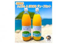 伊予柑、はれひめジュースセット |  みかん 柑橘 はれひめ 伊予柑 セット ジュース ミカン 柑橘  みかん 愛媛県 松山市