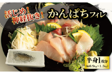 活じめ！神経抜き！かんぱちフィレ半身1枚（約0.9～1.3㎏）| 鮮魚 刺身 お刺身 お刺し身 魚介 海の幸 冷蔵 かんぱち カンパチ 勘八 愛媛県 松山市