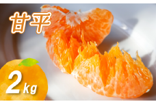 【2月初旬より発送】 甘平 2kg | 数量選択可 みかん ミカン 蜜柑 柑橘 数量限定 愛媛県産 松山市 中島 愛媛 ふるさと納税