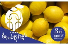 【先行予約】数量限定 もりのしずくレモン イエローレモン 3kg 国産 レモン れもん 檸檬 レモン果汁 酸味 果物 ビタミン 健康 フルーツ 柑橘 農家直送 産地直送 数量限定 国産 愛媛 松山 レモン レモンサワー ジュース チューハイ 果物 くだもの 果実 国産 フルーツ 有名 愛媛 みかん 愛媛県産 瀬戸内 ビタミン レモン れもん デザート スイーツ 人気 おすすめ 国産レモン