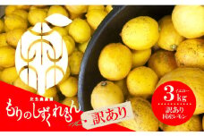 【訳あり】 数量限定 もりのしずくレモン イエローレモン 3kg 国産 レモン 先行予約 レモン れもん 檸檬 レモン果汁 酸味 果物 ビタミン 健康 フルーツ 柑橘 農家直送 産地直送 数量限定 国産 愛媛 松山 レモン レモンサワー ジュース チューハイ 果物 くだもの 果実 国産 フルーツ 有名 愛媛 みかん 愛媛県産 瀬戸内 ビタミン レモン れもん デザート スイーツ 人気 おすすめ
