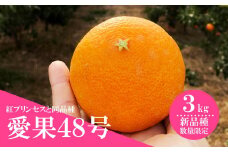【先行予約 2026年3月上旬から発送】 数量限定 愛果48号 約3kg 愛媛 あいか 柑橘 あいか えひめ あいか くだもの あいか 松山 あいか みかん あいか 北条 あいか フルーツ あいか M～2L 混合 あいか
