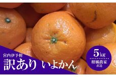 【先行予約】【訳あり】 数量限定 伊予柑 5kg みかん 不揃い いよかん 家庭用 柑橘 愛媛 松山 北条 果物 フルーツ 産地直送 みかん 農家直送 