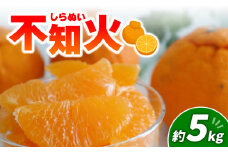不知火 5kg | みかん 愛媛 松山 フルーツ 果物 くだもの 数量限定 期間限定 送料無料 柑橘 みかん フルーツ 果物 みかん ランキング 2025年度