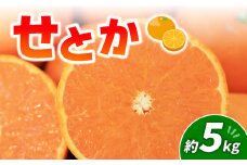 せとか 5kg | みかん 愛媛 松山 フルーツ 果物 くだもの 数量限定 期間限定 送料無料 柑橘 みかん フルーツ 果物 みかん ランキング 2025年度