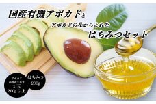 国産有機アボカドとアボカド蜜入り蜂蜜セット アボカドの花からとれた はちみつ 愛媛県 アボカド 松山市 あぼかど 国産 アボカド 和ボカド 国産 はちみつ サラダ アボカド 料理 アボカド 健康 アボカド 森のバター