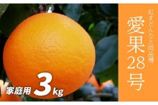 【先行予約】愛果28号 家庭用 3kg あいか みかん あいか 愛媛 あいか 柑橘 あいか 松山 あいか 果物 あいか 愛媛産 愛媛県産 国産 愛媛みかん 愛媛蜜柑 愛媛ミカン みかん ミカン mikan 蜜柑 柑橘 フルーツ 果物 くだもの 高級 お取り寄せ 産地直送 数量限定 人気 おすすめ 愛媛県 松山市 送料無料 