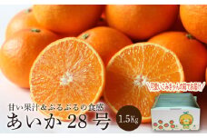 【先行予約】【2025年11月下旬頃順次発送】 あいか28号 1.5kg（5～8玉） 愛果28号 愛媛 みかん あいか あいか28号 愛果 愛果28号 紅マドンナ 紅まどんな と同品種 蜜柑 アイカ 柑橘 果物 贈答 愛媛のみかん くだもの フルーツ あいか ご家庭用 みかん 数量限定  愛媛県産 ミカン 愛果28号 号 愛媛県 松山市