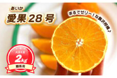 【12月上旬～1月初旬頃発送予定】 贈答用 愛果28号 2kg 大玉6玉入り | あいか ご家庭用 みかん 数量限定 みかん 愛媛県産 みかん 愛果28号 松山市 みかん 愛果28号 みかん 蜜柑 愛果28号 ミカン みかん 旬 愛果28号