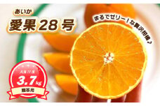 【12月上旬～1月初旬頃発送予定】 贈答用 愛果28号 3.7kg 大玉11玉入り | あいか ご家庭用 みかん 数量限定 みかん 愛媛県産 みかん 愛果28号 松山市 みかん 愛果28号 みかん 蜜柑 愛果28号 ミカン みかん 旬 愛果28号
