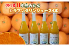 【カラマンダリン ストレートジュース 4本セット】愛媛 松本農園 中島育ち 果汁 100％ ストレートジュース |  限定 中島 ジュース みかん ミカン mikan 蜜柑 柑橘 高級 甘い 蜜柑 果物 フルーツ 糖度 飲み物 炭酸割り ソーダ割り 飲料 産地直送 国産 愛媛 松山 風早珈琲焙煎所BOWEN