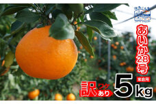 訳あり あいか28号 家庭用 ５kg ｜産地直送 国産 柑橘 期間限定 数量限定 ご当地 愛媛県 松山市
