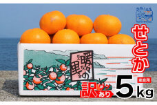 訳あり せとか 家庭用 5kg ｜産地直送 国産 柑橘 期間限定 数量限定 ご当地 愛媛県 松山市