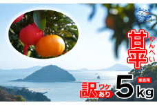 訳あり 甘平 家庭用 5kg ｜産地直送 国産 柑橘 期間限定 数量限定 ご当地 愛媛県 松山市