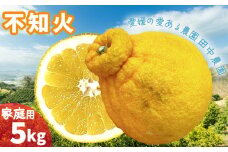 不知火 しらぬい  約5kg  家庭用【2月下旬から順次発送】 でこぽんと同品種 愛媛産 愛媛県産 国産 愛媛みかん 愛媛蜜柑 愛媛ミカン みかん ミカン mikan 柑橘類 先行予約 訳アリ ワケアリ 蜜柑 柑橘 フルーツ 果物 くだもの お取り寄せ 産地直送 数量限定 人気 おすすめ 愛媛県 松山市 田中農園 送料無料