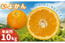  伊予柑 いよかん 約10kg  家庭用【1月上旬から順次発送】 柑橘類 先行予約 フルーツ 柑橘類 先行予約 果物 フルーツ みかん 10kg イヨカン 宮内伊予柑 人気 おすすめ 愛媛 松山 田中農園