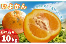  伊予柑 いよかん 約 10kg 訳あり【1月上旬から順次発送】愛媛産 愛媛県産 国産 愛媛みかん 愛媛蜜柑 愛媛ミカン みかん ミカン mikan　みかん10kg 柑橘類 先行予約 訳アリ ワケアリ 蜜柑 柑橘 フルーツ 果物 くだもの お取り寄せ 産地直送 数量限定 人気 おすすめ 愛媛県 松山市 田中農園 送料無料