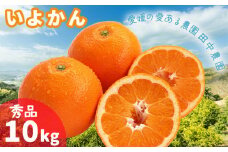  伊予柑 いよかん 約10kg  秀品【1月上旬から順次発送】柑橘類 先行予約 贈答用 ギフト フルーツ 柑橘類 先行予約 果物 フルーツ みかん イヨカン 宮内伊予柑 人気 おすすめ 愛媛 松山 田中農園