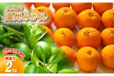 【2025年11月上旬から順次発送】訳あり 温州みかん 2kg