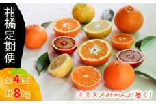 【12月から発送】柑橘定期便  2kg × 4回 計8kg  品種おまかせ