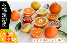 【12月から発送】柑橘定期便  5kg × 4回 計20kg 品種おまかせ