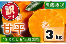 【先行予約】 訳あり 農園直送 甘平（かんぺい） 3kg 【1月上旬～2月中旬発送】 愛媛県限定 希少 高級柑橘 手でむける みかん 果物 フルーツ 愛媛県 松山市